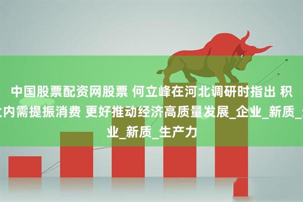 中国股票配资网股票 何立峰在河北调研时指出 积极扩大内需提振消费 更好推动经济高质量发展_企业_新质_生产力