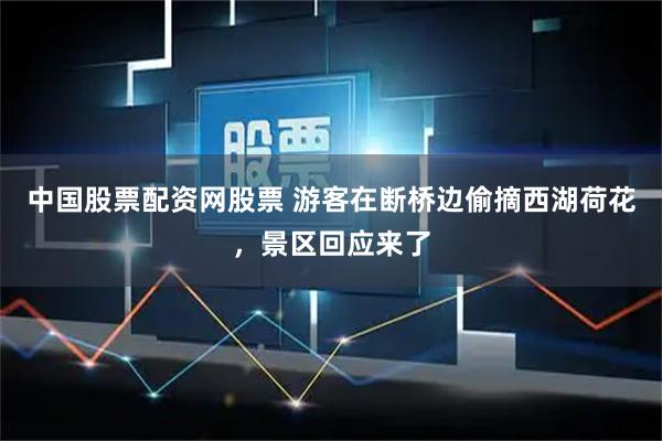 中国股票配资网股票 游客在断桥边偷摘西湖荷花，景区回应来了