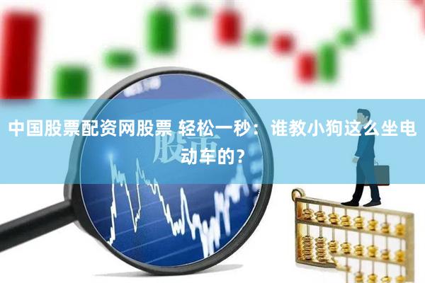 中国股票配资网股票 轻松一秒：谁教小狗这么坐电动车的？