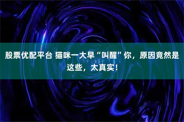股票优配平台 猫咪一大早“叫醒”你，原因竟然是这些，太真实！
